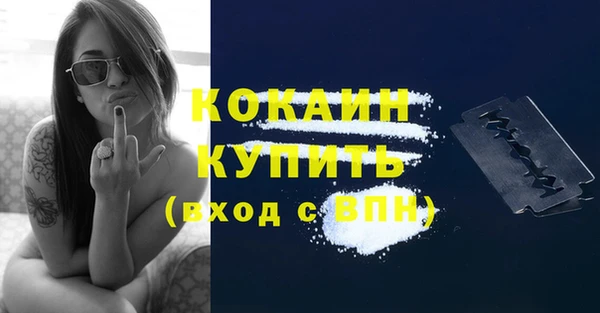 индика Братск