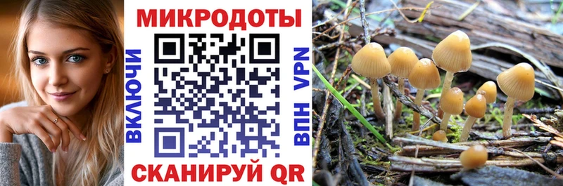 Псилоцибиновые грибы Cubensis  Томилино 
